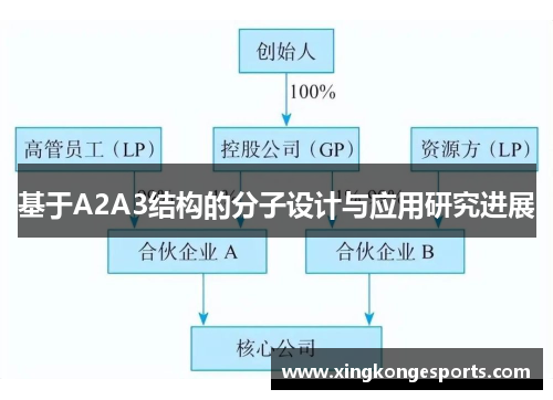 基于A2A3结构的分子设计与应用研究进展