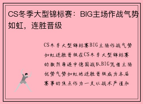CS冬季大型锦标赛：BIG主场作战气势如虹，连胜晋级
